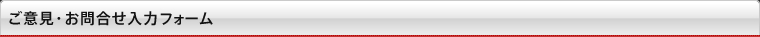 ご意見・お問合せ入力フォーム